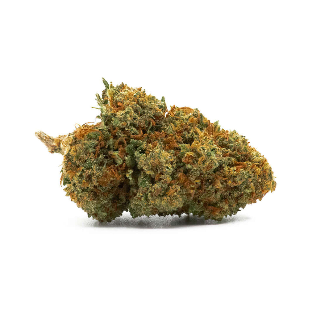 Orange Velvet Estero cannabis light legale acquistabile all'ingrosso. Sconti per quantità superiori