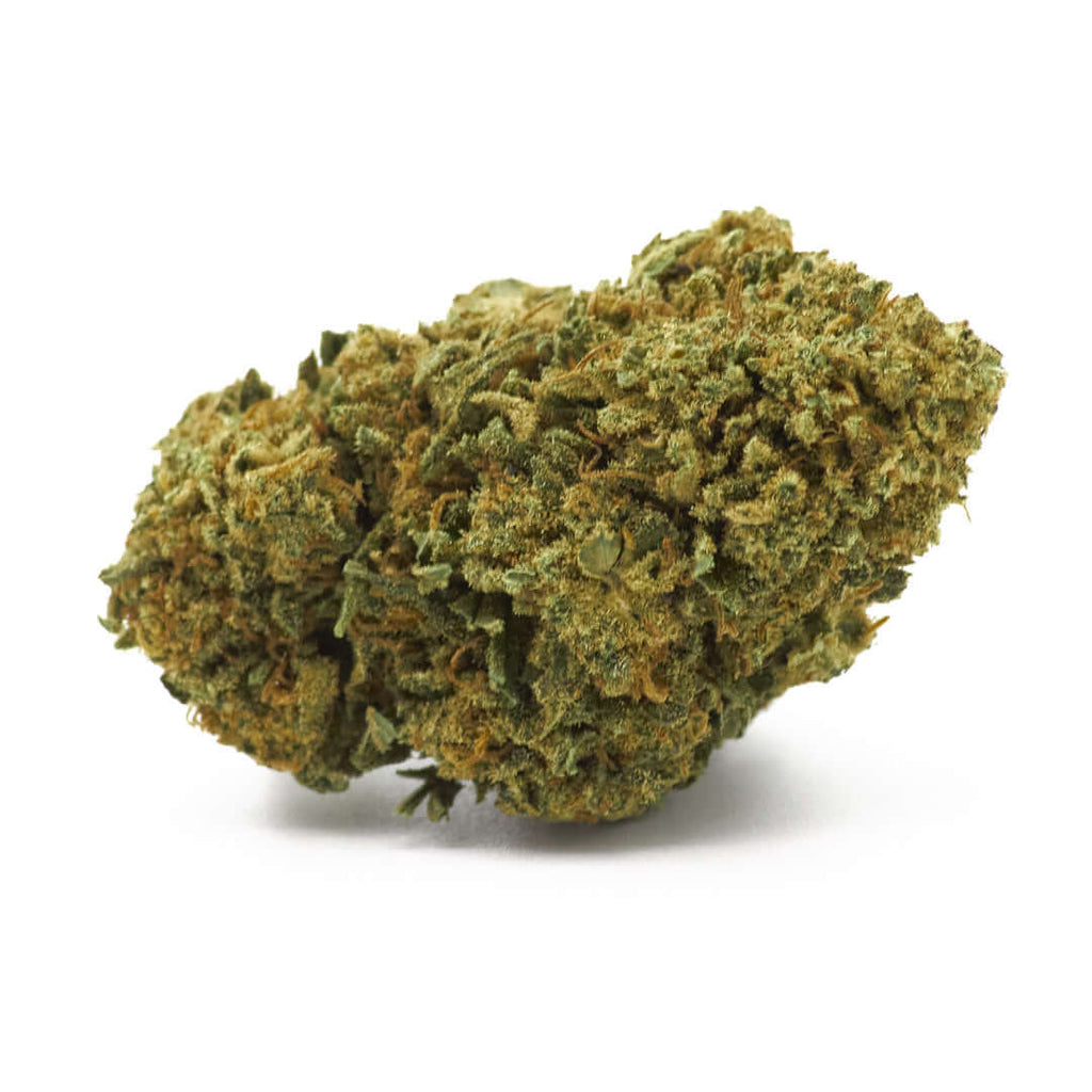 Mango Sapphire Estero cannabis light legale acquistabile all'ingrosso. Sconti per quantità superiori