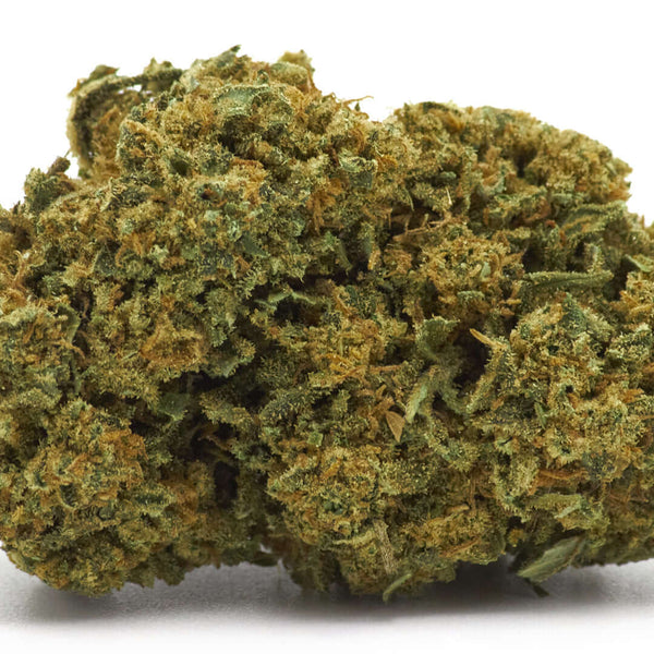 Mango Sapphire Estero cannabis light legale acquistabile all'ingrosso. Sconti per quantità superiori