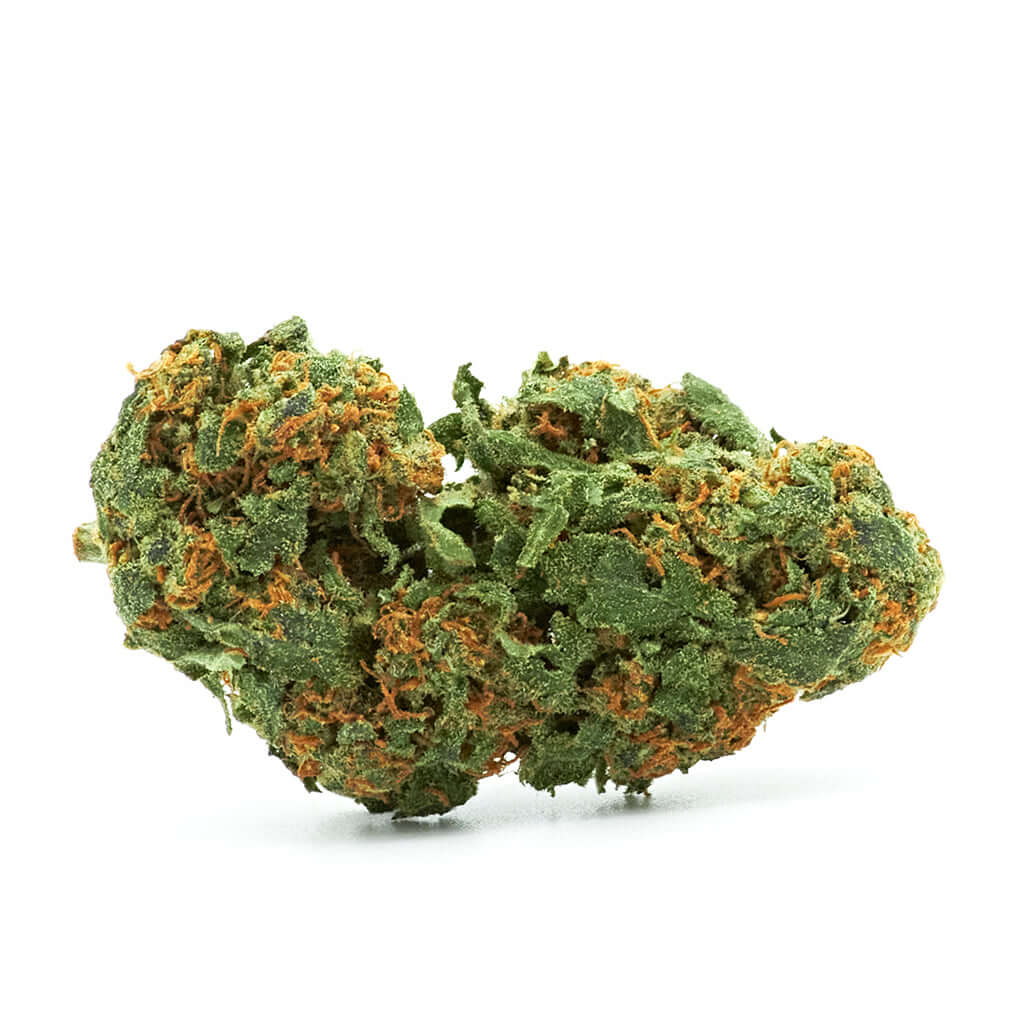 Rainbow Kush cannabis light legale acquistabile all'ingrosso. Sconti per quantità superiori