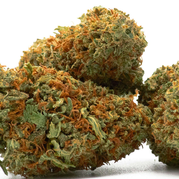 Orange Velvet Estero cannabis light legale acquistabile all'ingrosso. Sconti per quantità superiori