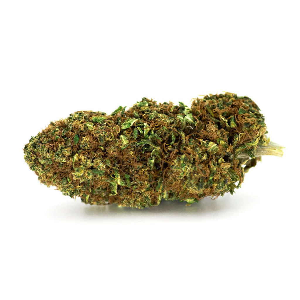 Orange Velvet cannabis light legale acquistabile all'ingrosso. Sconti per quantità superiori