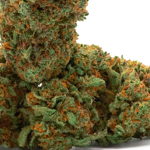 Gold Strawberry cannabis light legale acquistabile all'ingrosso. Sconti per quantità superiori